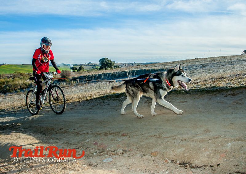 Campeonato de España de Mushing 2017