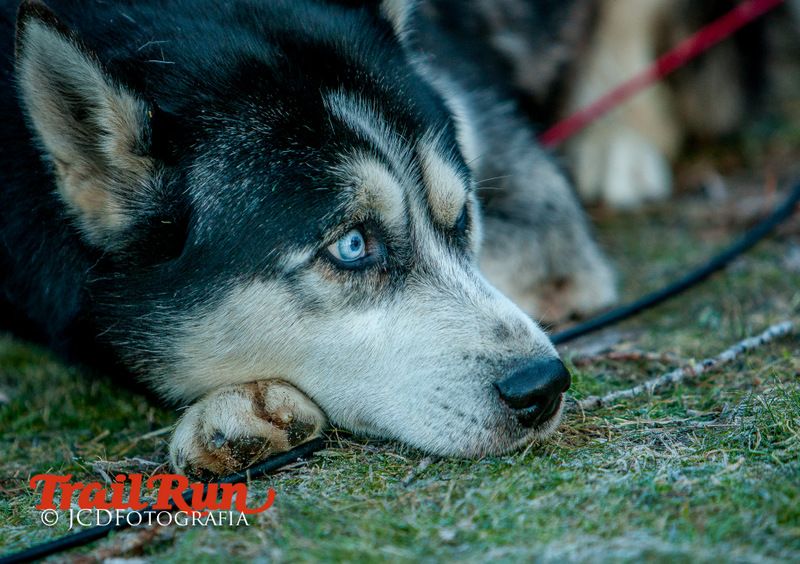 Campeonato de España de Mushing 2017