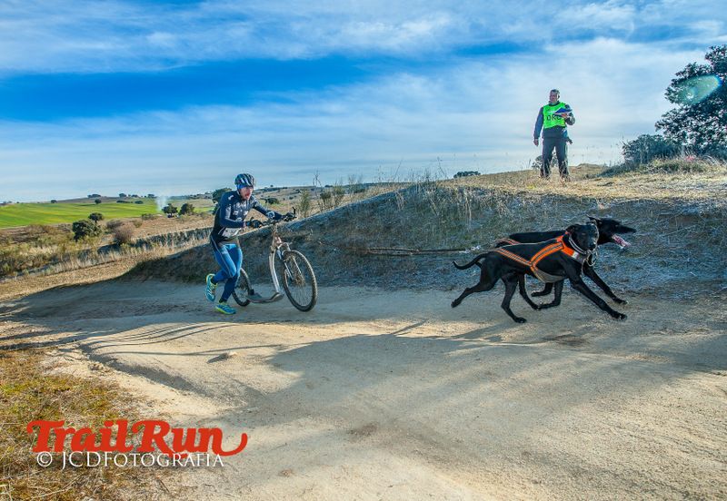 Campeonato de España de Mushing 2017