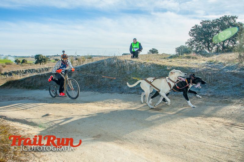 Campeonato de España de Mushing 2017