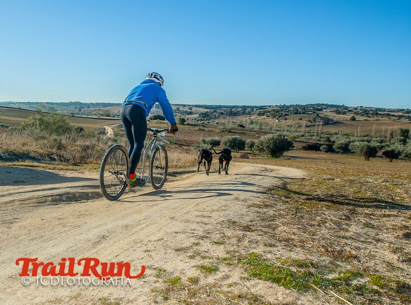 Campeonato de España de Mushing 2017