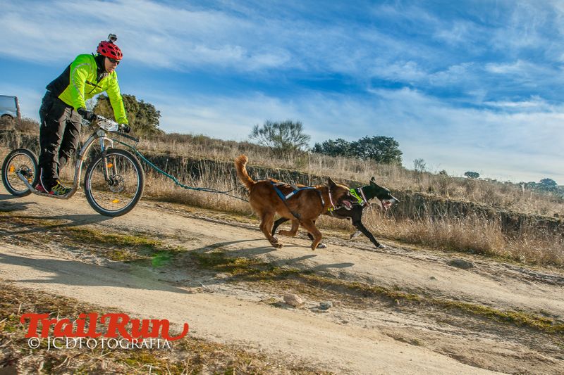 Campeonato de España de Mushing 2017