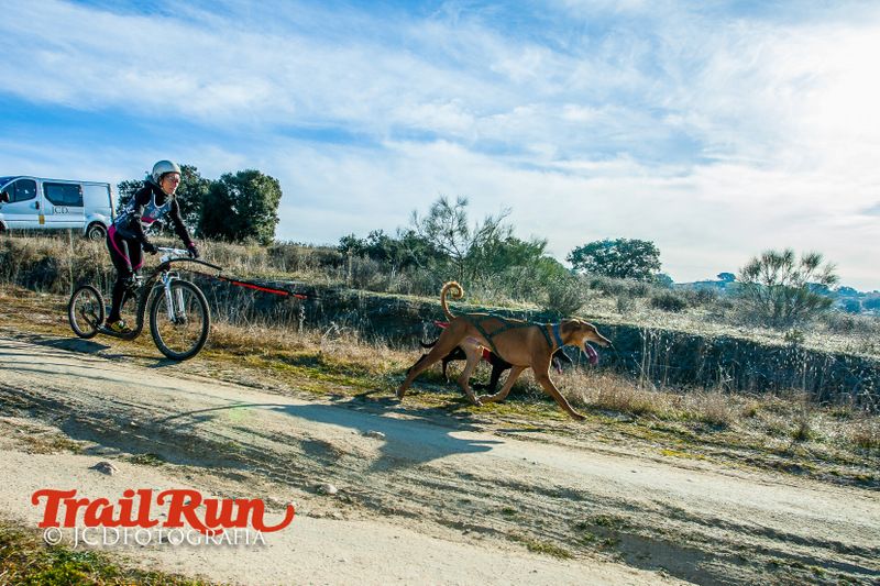 Campeonato de España de Mushing 2017