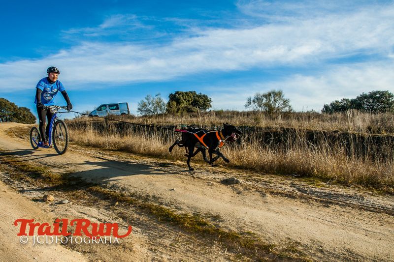 Campeonato de España de Mushing 2017