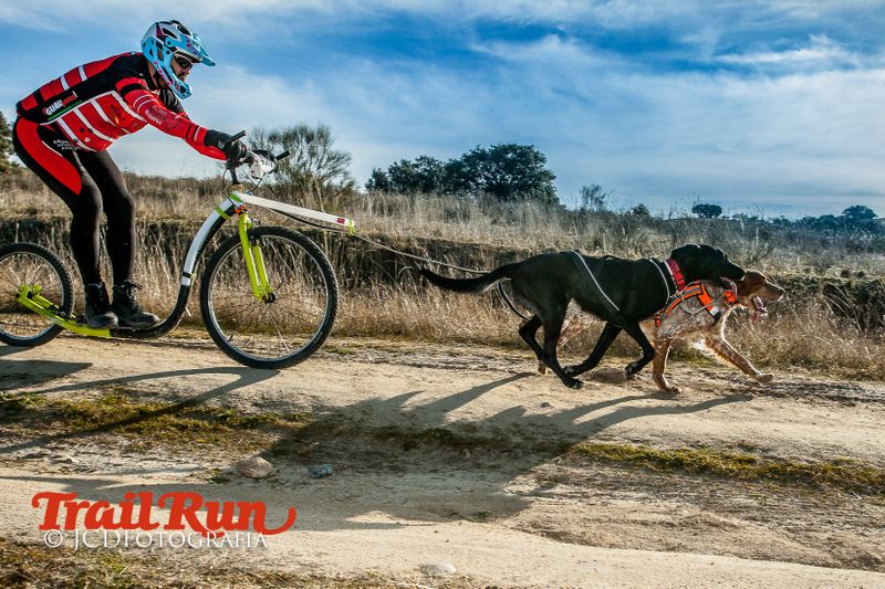 Campeonato de España de Mushing 2017