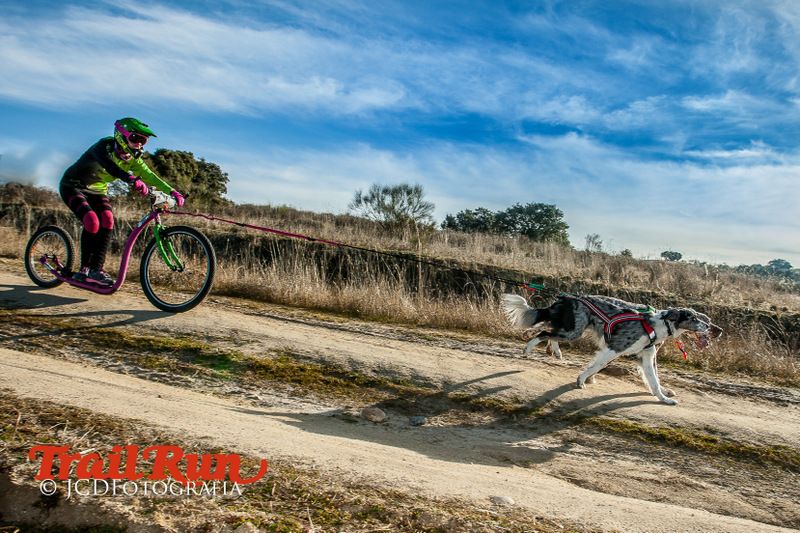 Campeonato de España de Mushing 2017