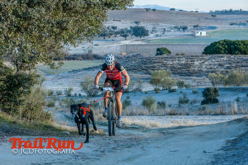 Campeonato de España de Mushing 2017