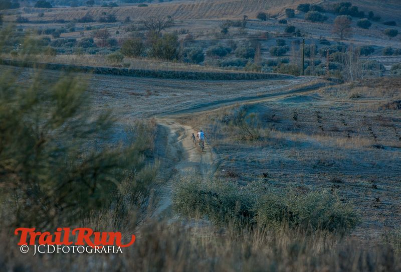 Campeonato de España de Mushing 2017