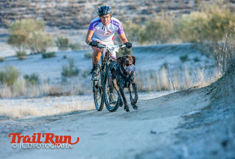 Campeonato de España de Mushing 2017