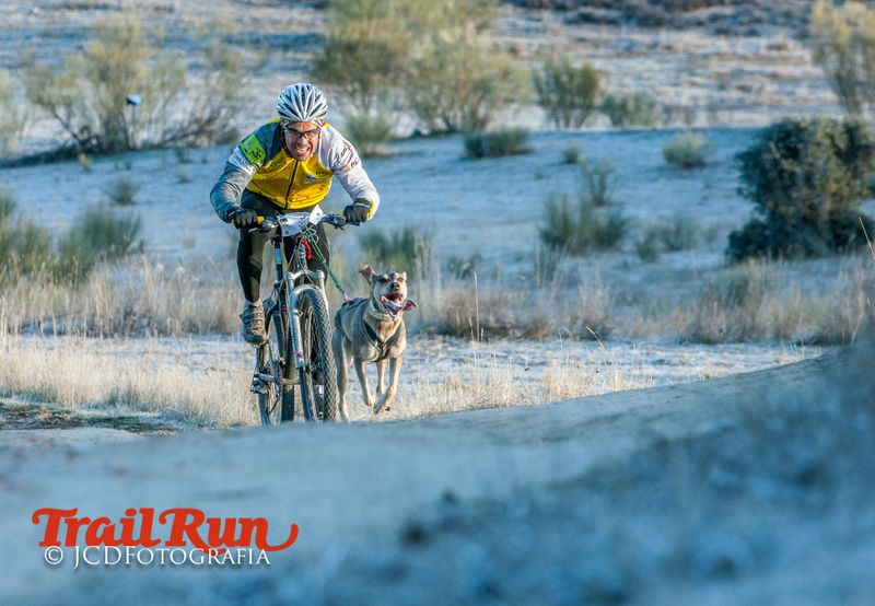 Campeonato de España de Mushing 2017