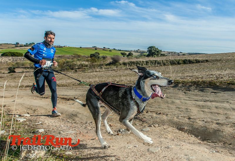 Campeonato de España de Mushing 2017