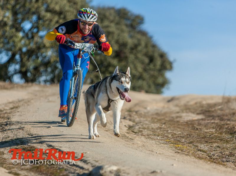 Campeonato de España de Mushing 2017