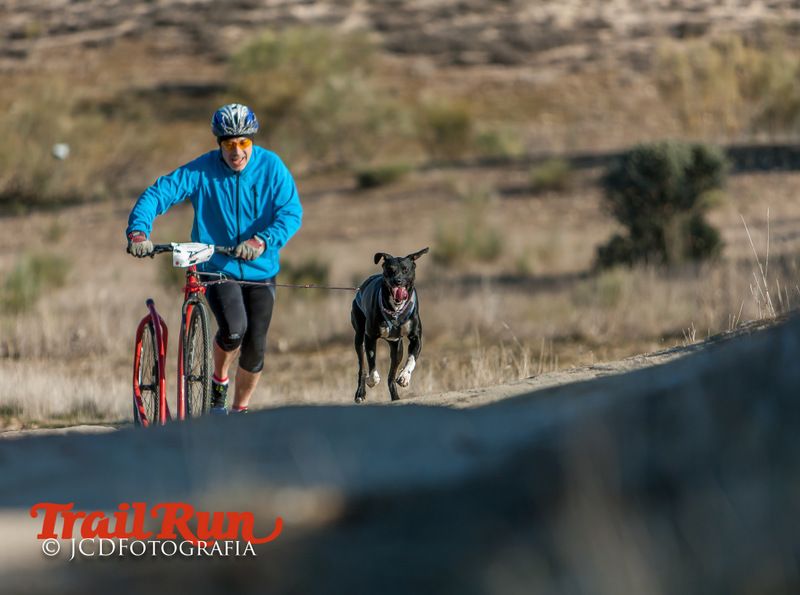 Campeonato de España de Mushing 2017