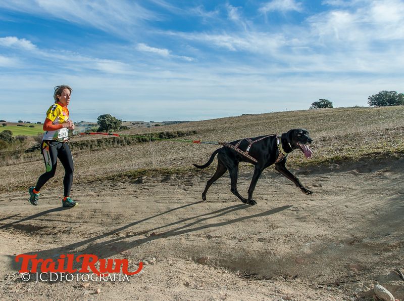 Campeonato de España de Mushing 2017