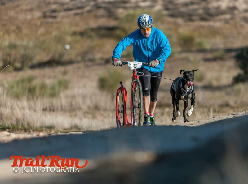 Campeonato de España de Mushing 2017