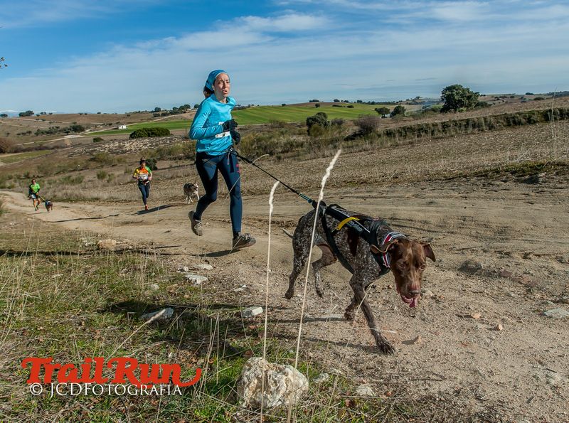 Campeonato de España de Mushing 2017