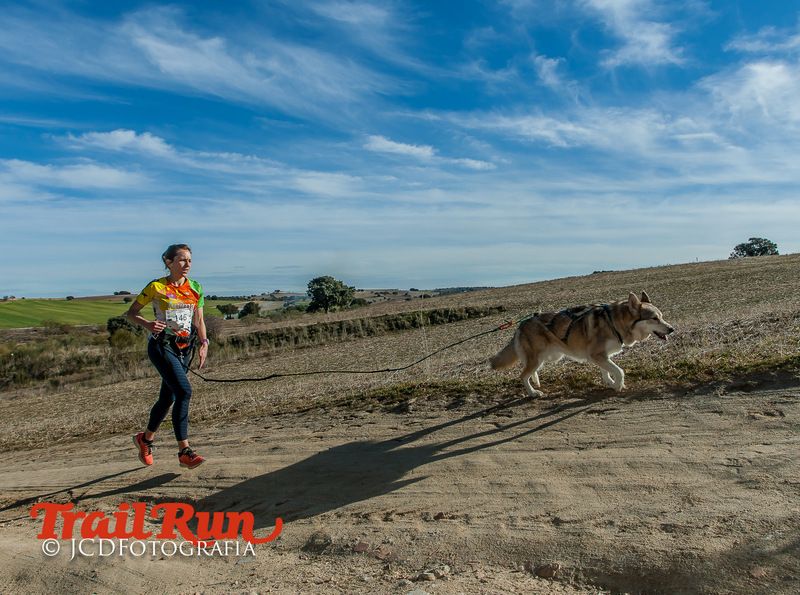 Campeonato de España de Mushing 2017