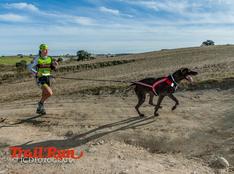 Campeonato de España de Mushing 2017