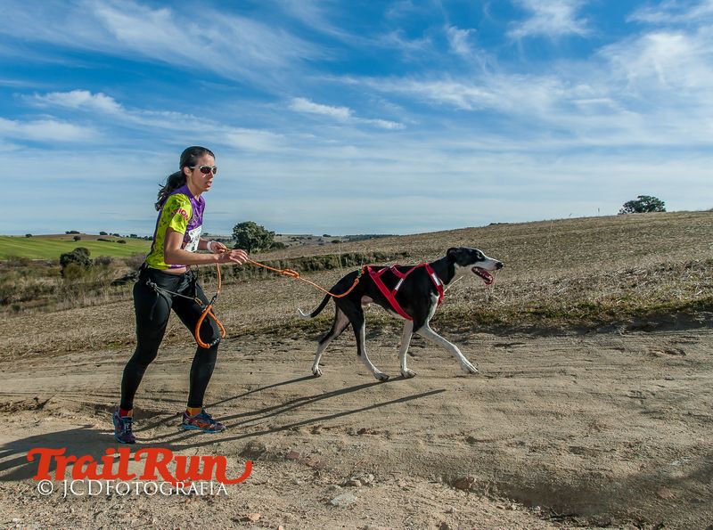 Campeonato de España de Mushing 2017