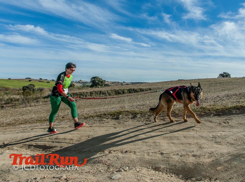 Campeonato de España de Mushing 2017