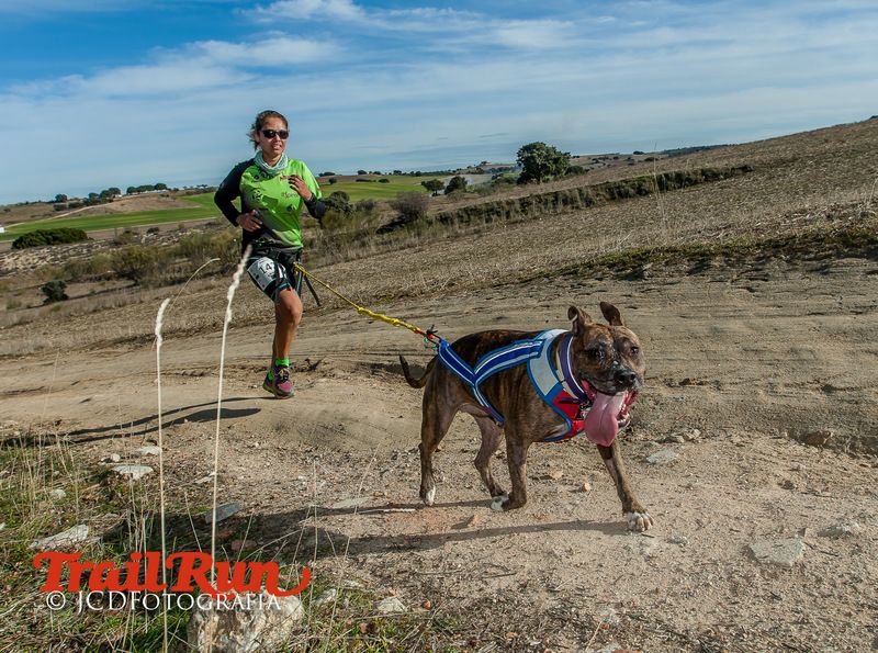 Campeonato de España de Mushing 2017