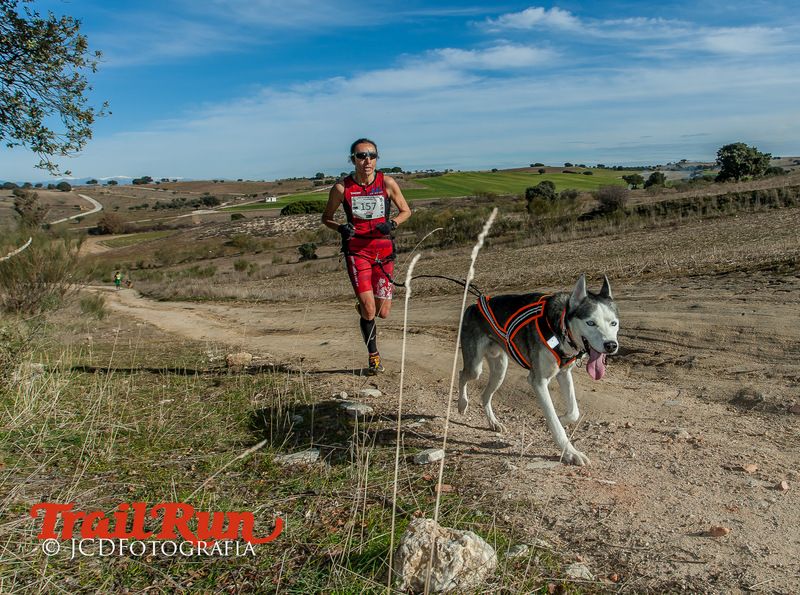 Campeonato de España de Mushing 2017