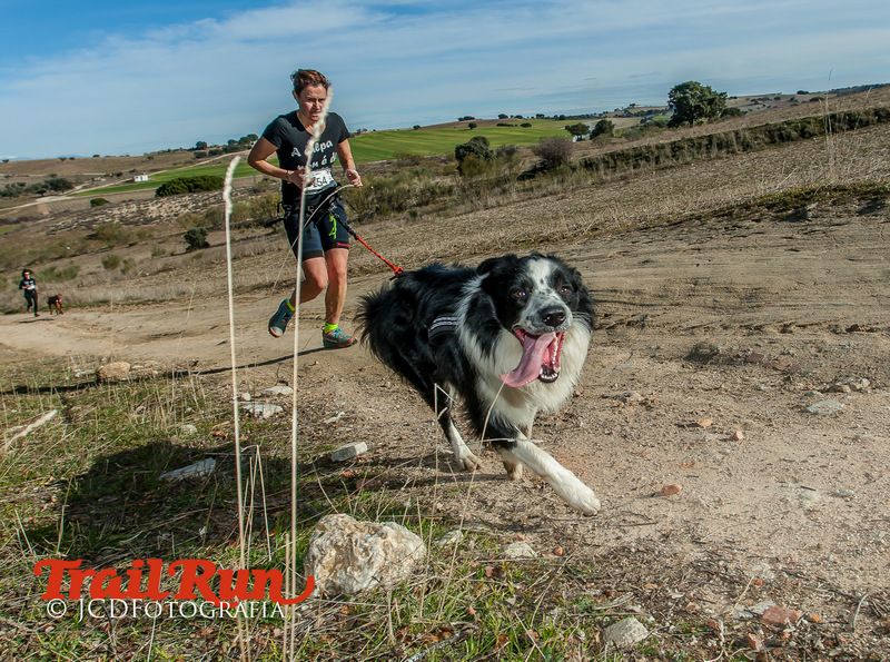 Campeonato de España de Mushing 2017