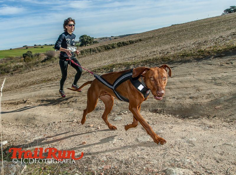 Campeonato de España de Mushing 2017