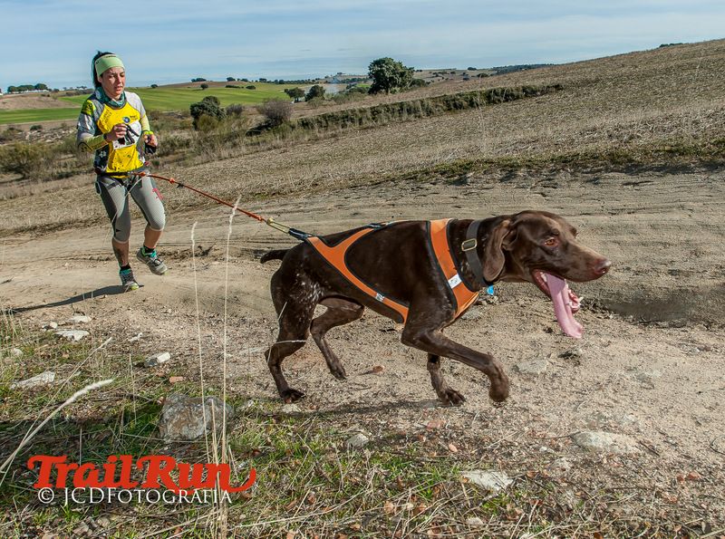 Campeonato de España de Mushing 2017