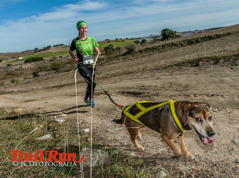 Campeonato de España de Mushing 2017