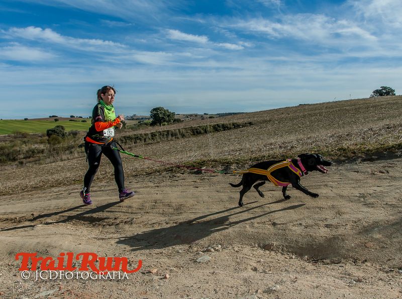Campeonato de España de Mushing 2017