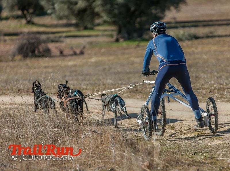 Campeonato de España de Mushing 2017
