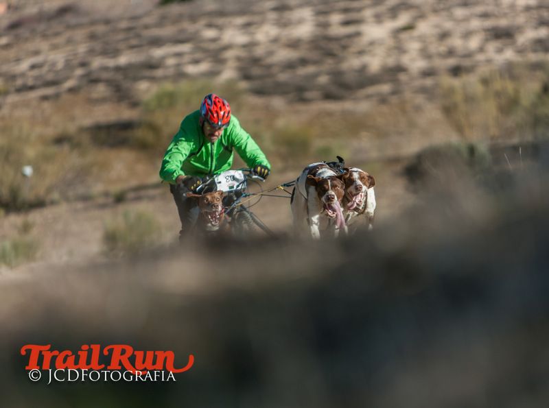 Campeonato de España de Mushing 2017
