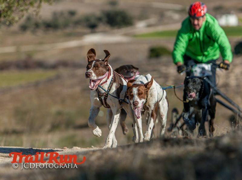 Campeonato de España de Mushing 2017