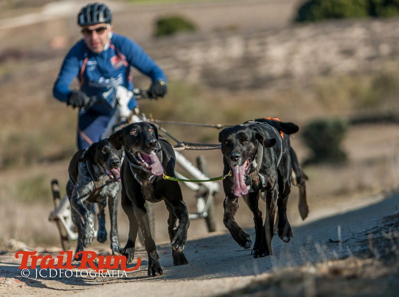 Campeonato de España de Mushing 2017
