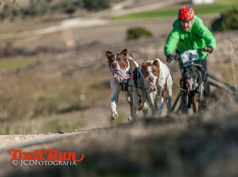Campeonato de España de Mushing 2017