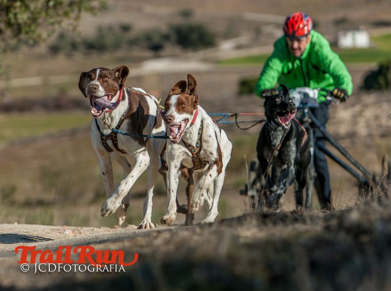 Campeonato de España de Mushing 2017