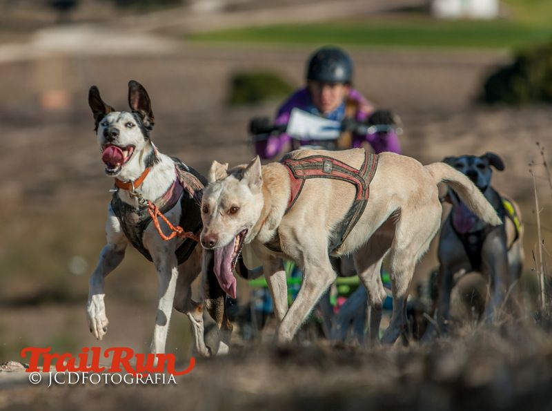 Campeonato de España de Mushing 2017