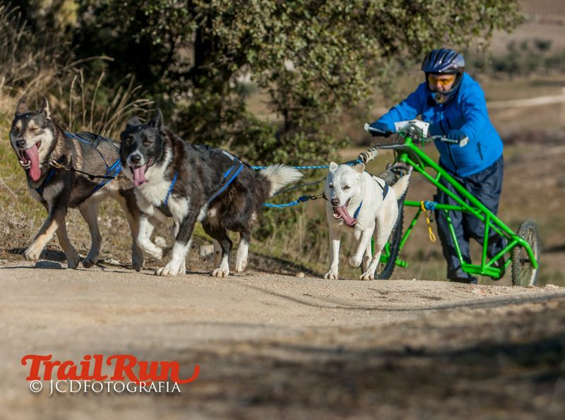 Campeonato de España de Mushing 2017