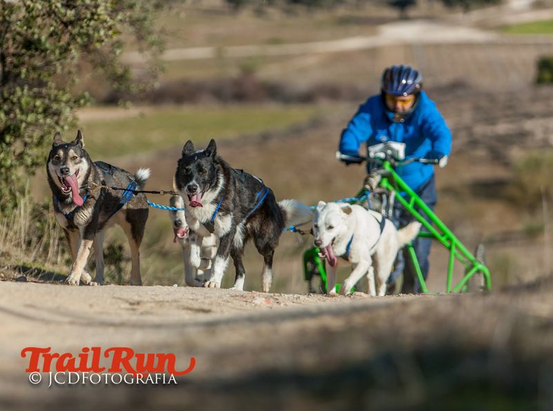 Campeonato de España de Mushing 2017