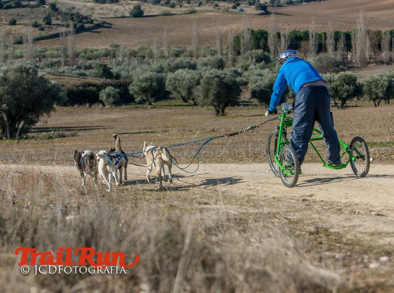 Campeonato de España de Mushing 2017