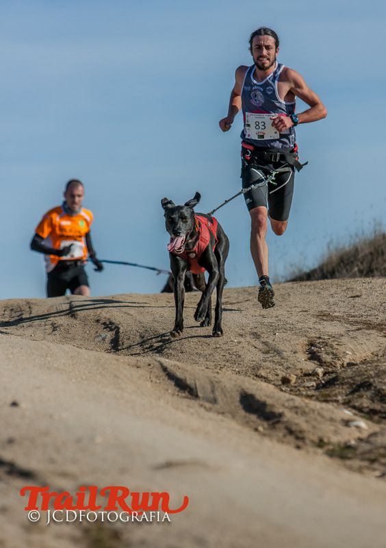 Campeonato de España de Mushing 2017