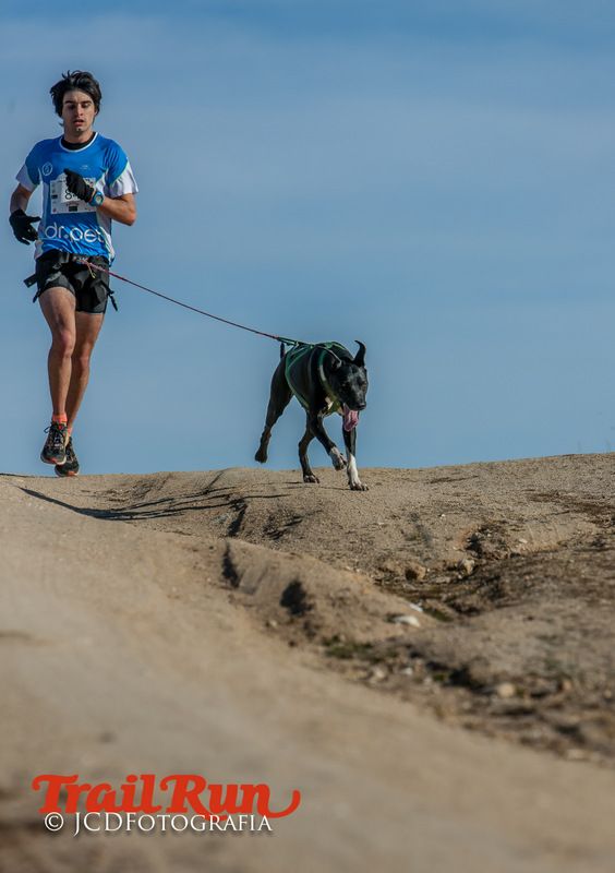 Campeonato de España de Mushing 2017