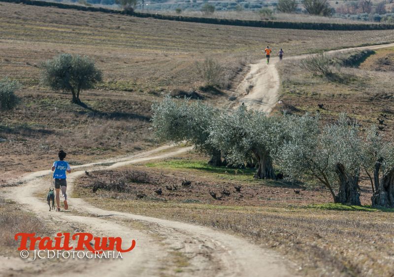 Campeonato de España de Mushing 2017
