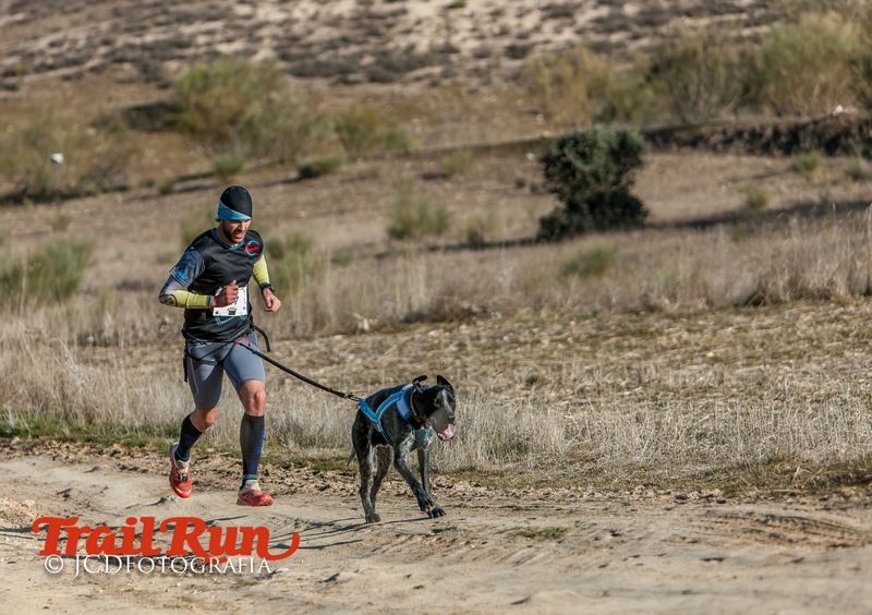 Campeonato de España de Mushing 2017