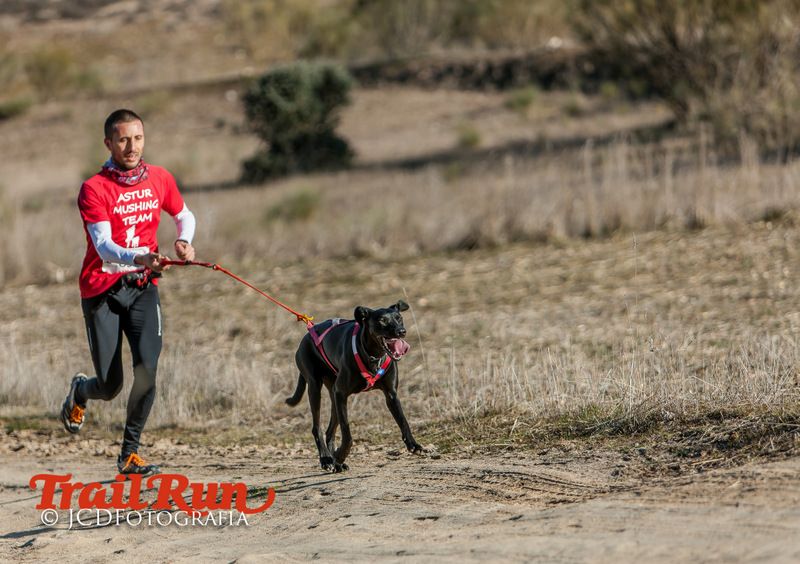Campeonato de España de Mushing 2017