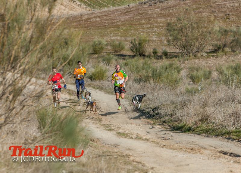 Campeonato de España de Mushing 2017