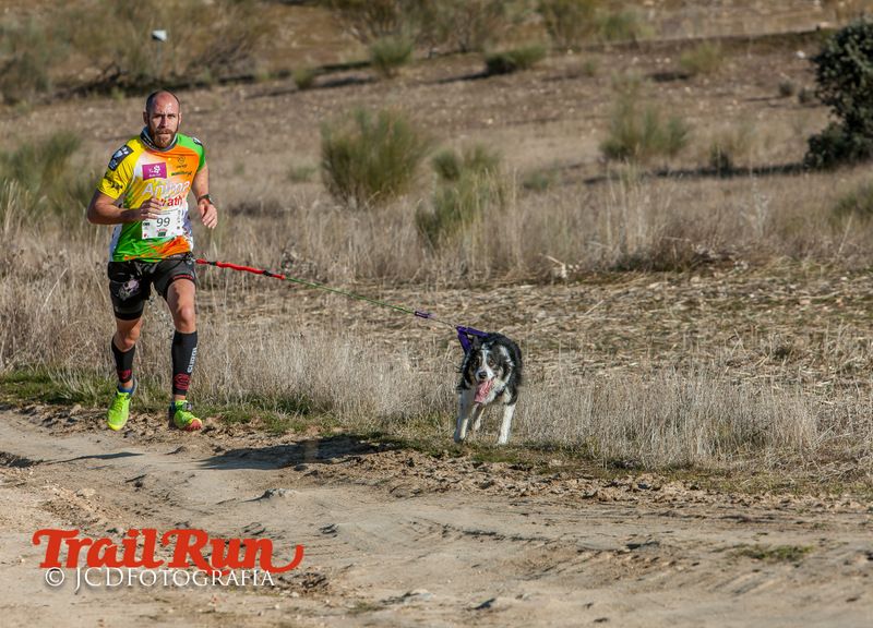 Campeonato de España de Mushing 2017