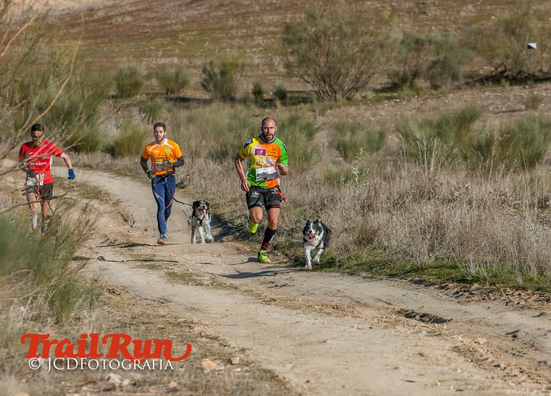 Campeonato de España de Mushing 2017