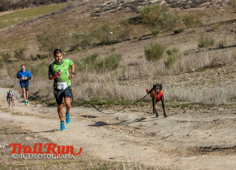 Campeonato de España de Mushing 2017